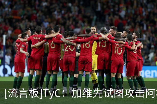 [流言板]TyC：加维先试图攻击阿根廷的球员，帕雷德斯才把他按倒在地
